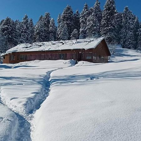Roseland Cottage , Gulmarg Zewnętrze zdjęcie