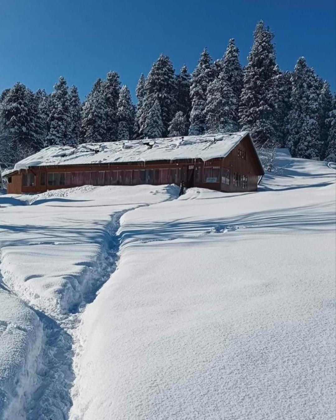 Roseland Cottage , Gulmarg Zewnętrze zdjęcie